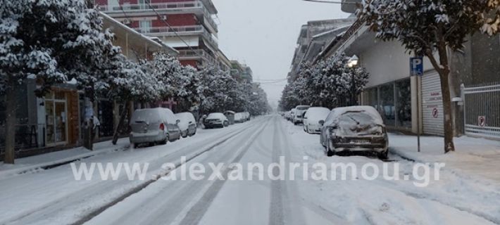 www.alexandriamou.gr_xionia202020147150252546_2072477219557252_3266303345607409562_n