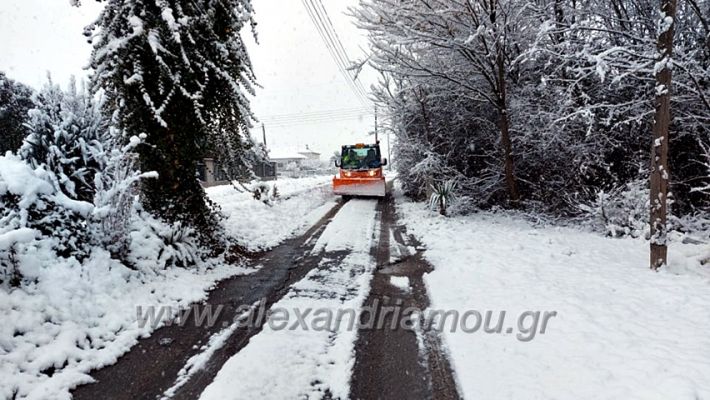 alexandriamou.gr_xionia16.01.21139043539_2819088838343490_7906477750069216480_n