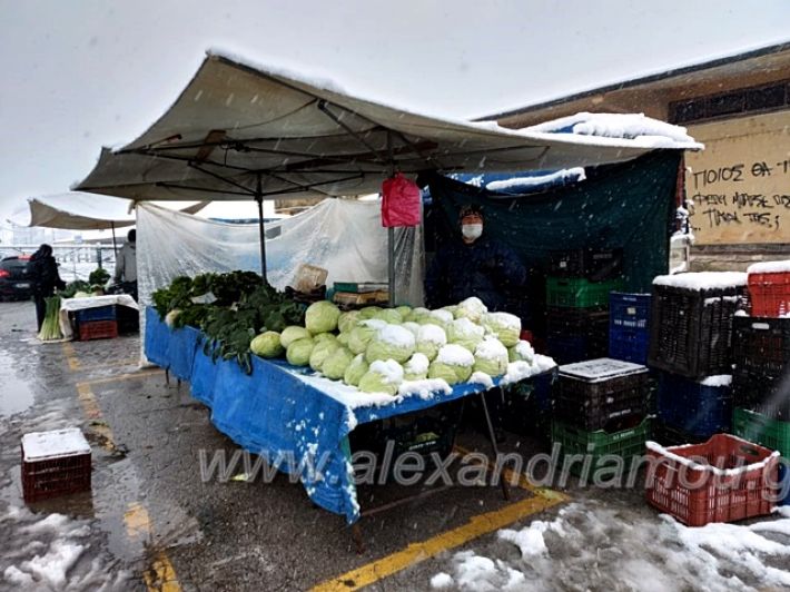 alexandriamou.gr_xionia16.01.21139067196_779111489626252_5091288496216571810_n