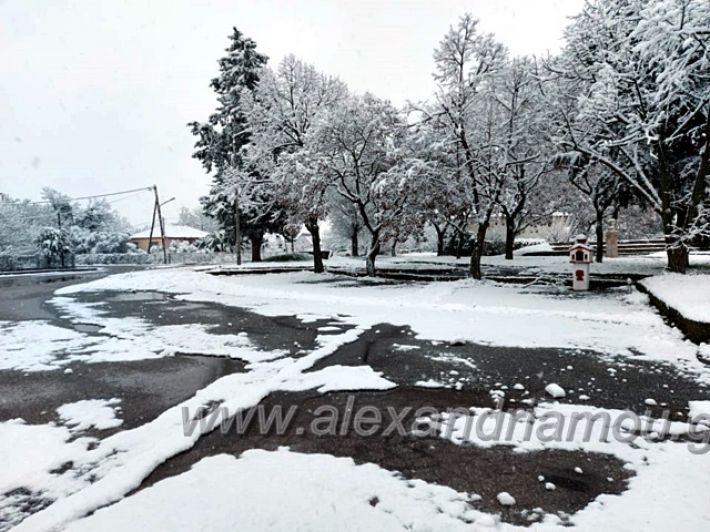 alexandriamou.gr_xionia16.01.21139093441_108403331125072_5913221736914504975_n