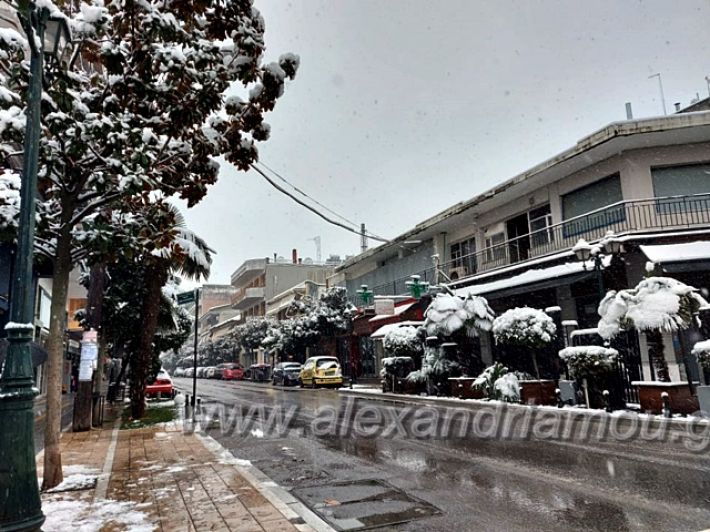 alexandriamou.gr_xionia16.01.21139114840_196839115517558_4469863818536794321_n