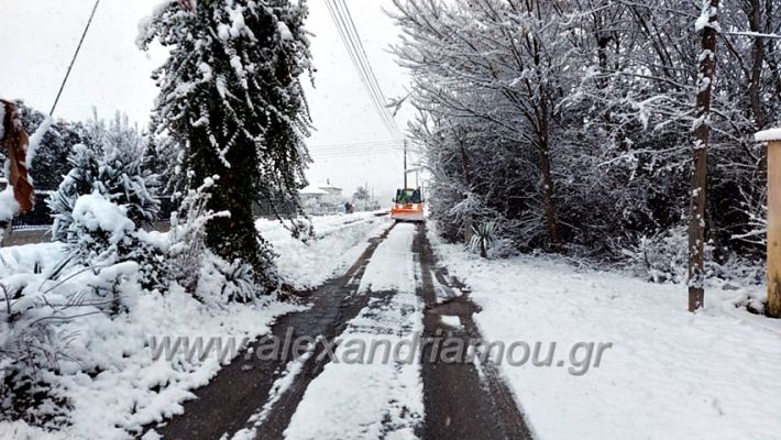 alexandriamou.gr_xionia16.01.21139114840_225589005844147_2188396702141292905_n