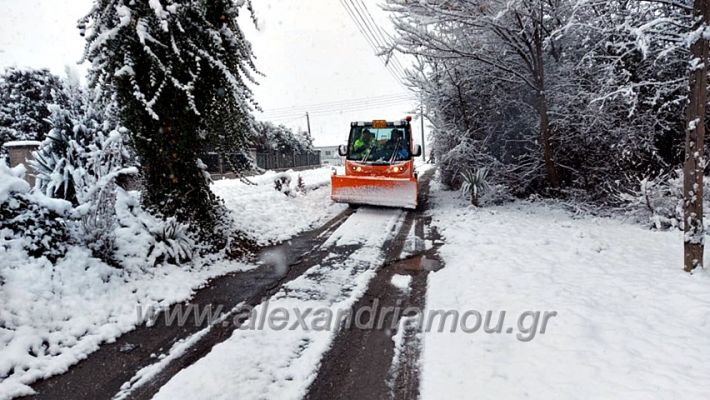 alexandriamou.gr_xionia16.01.21139136747_129034762369075_8656569961387842601_n