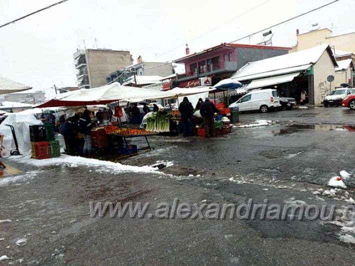 alexandriamou.gr_xionia16.01.21139225862_119993463307381_1977063901505111016_n