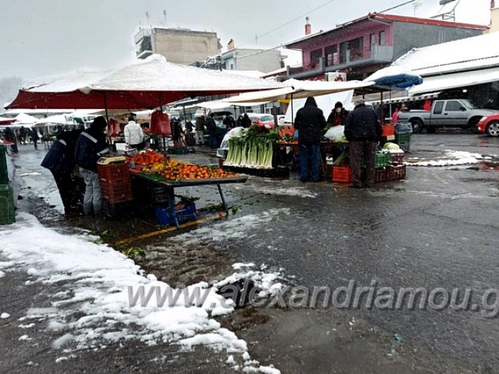 alexandriamou.gr_xionia16.01.21139284201_2933510823551145_8053561029409338820_n