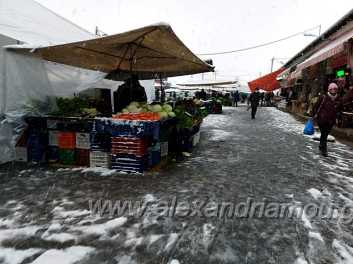 alexandriamou.gr_xionia16.01.21139677696_980098009060683_9028372637205369347_n