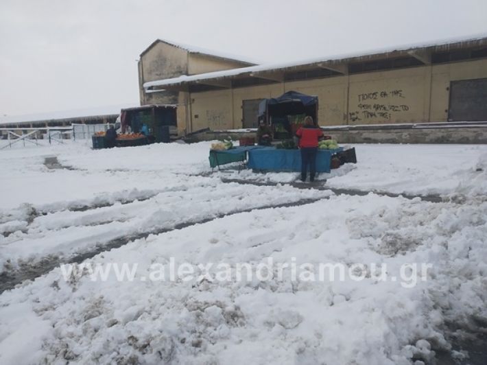 alexandiamou.gr_xionia05.01.19IMG_20190105_084335