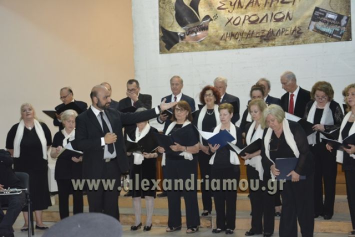 alexandriamou.gr_xorodia0515057