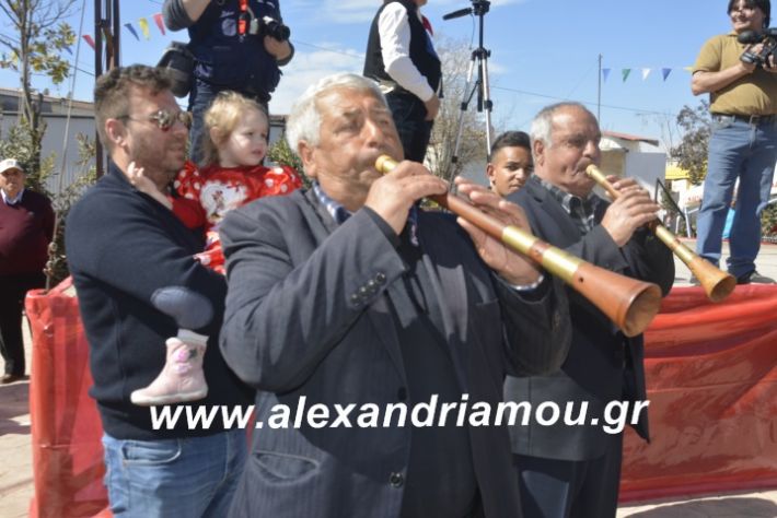 alexandriamou.xoreutikameliki2019004