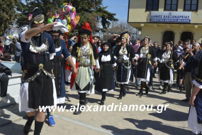 alexandriamou.xoreutikameliki2019035