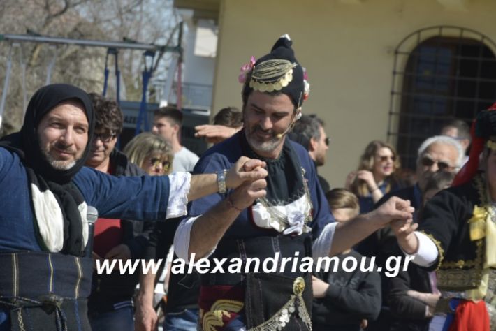 alexandriamou.xoreutikameliki2019049