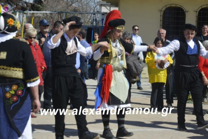 alexandriamou.xoreutikameliki2019074