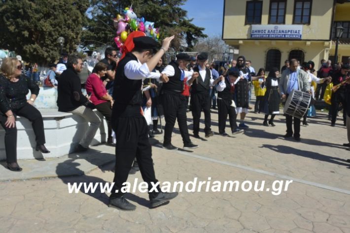 alexandriamou.xoreutikameliki2019077