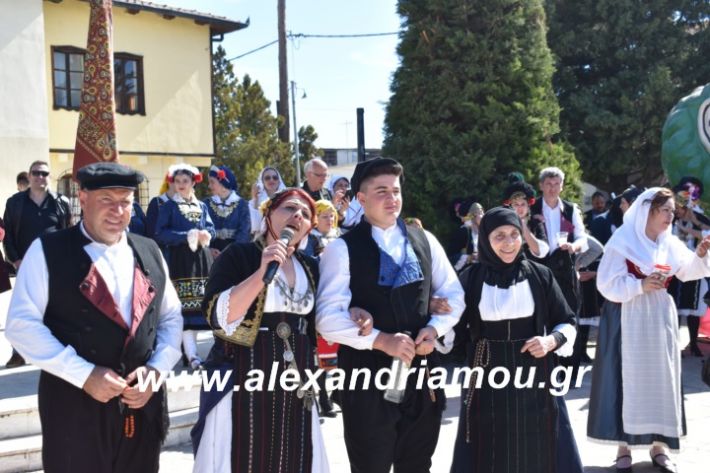 alexandriamou.xoreutikameliki2019085