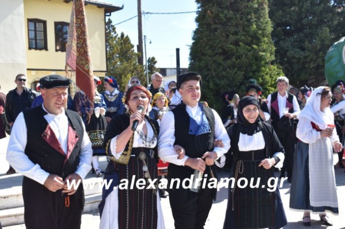 alexandriamou.xoreutikameliki2019086