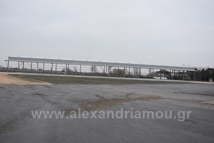 www.alexandriamou.gr_xitas21DSC_0481