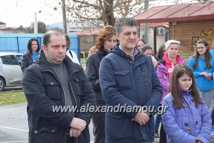 alexandriamou.gr_zefirospita201807