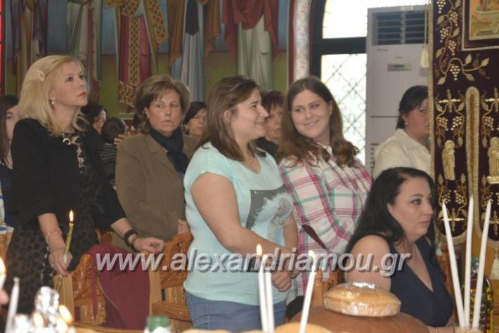 alexandriamou_zoodoxopigibrusakii2019011