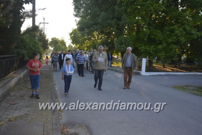 alexandriamou_zoodoxopigibrusakii2019054