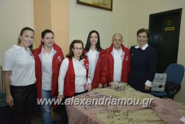 Στις 31 Μαρτίου η  Γενική Συνέλευση του τμήματος Ερυθρού Σταυρού Αλεξάνδρειας