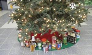 Γέμισαν με δώρα και τρόφιμα μακράς διαρκείας τα Χριστουγεννιάτικα δέντρα στα σχολεία του Δήμου Αλεξάνδρειας