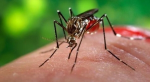 Δήμος Αλεξάνδρειας:Ενέργειες καταπολέμησης των κουνουπιών