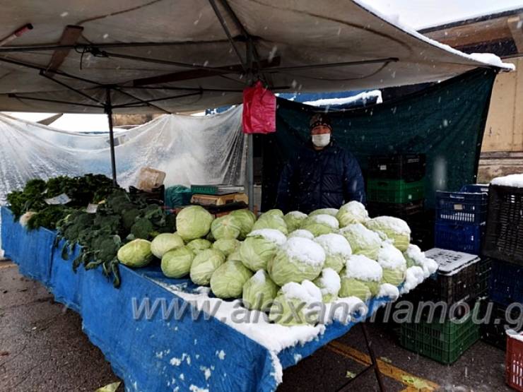 Με λιγοστούς πάγκους και προσέλευση η λαϊκή αγορά στην πόλη της Αλεξάνδρειας(φωτο)
