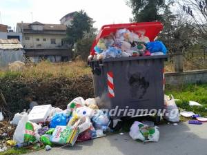 Αναγνώστες: Ξεχειλίζουν οι κάδοι από σκουπίδια στην Αλεξάνδρεια (φώτο)