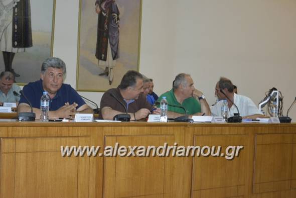 Έκτακτη συνεδρίαση του Δημοτικού Συμβουλίου Δήμου Αλεξάνδρειας την Τετάρτη 20 Ιουνίου