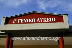 304 σχολεία ανοίγουν τις πόρτες τους στα προσφυγόπουλα - Τέσσερα στο δήμο Αλεξάνδρειας