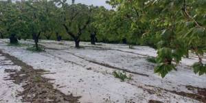 Αγρότες Πέλλας-Ημαθίας: Πρωτοφανής καθυστέρηση πληρωμών από τον ΕΛΓΑ