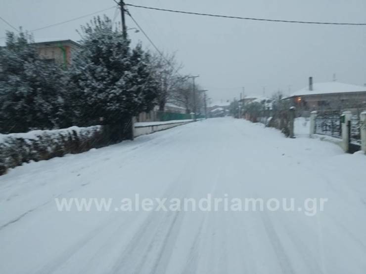 Συνεχίζεται η Πυκνή χιονόπτωση στην πόλη της Αλεξάνδρειας