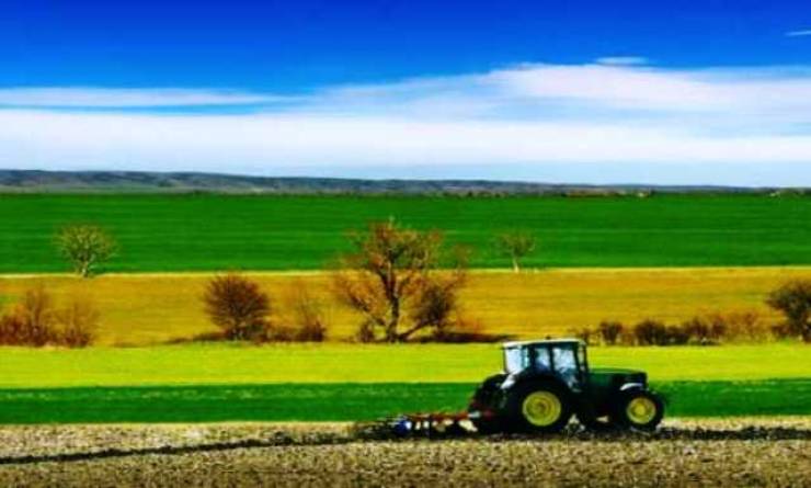 Δημοπρασία για την εκμίσθωση Αγροτεμαχίων στις τ.κ. Πλατάνου και Κεφαλοχωρίου την Πέμπτη 4 Μαρτίου