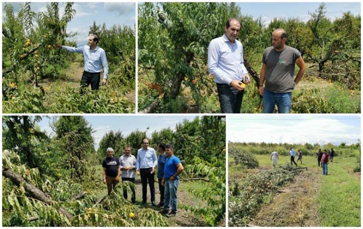 Επίσκεψη του υφυπουργού Οικονομικών Απόστολο Βεσυρόπουλο στις πληγείσες καλλιέργειες της Ημαθίας