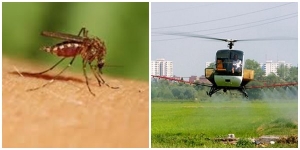 Ξεκινούν οι αεροψεκασμοί στους ορυζώνες της Κ. Μακεδονίας για την καταπολέμηση των κουνουπιών