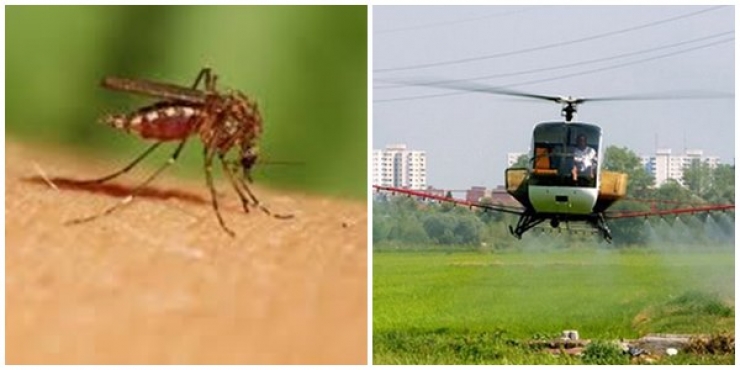 Ξεκινούν οι αεροψεκασμοί στους ορυζώνες της Κ. Μακεδονίας για την καταπολέμηση των κουνουπιών
