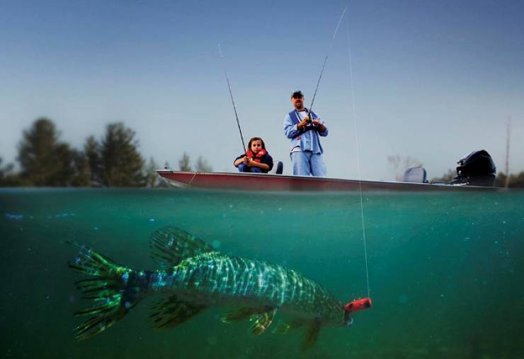 Π.Ε. Ημαθίας:Απαγόρευση αλιείας στους ποταμούς Τριπόταμο και Αραπιτσα