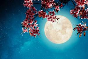 Φεγγάρι της Φράουλας: Έρχεται η τελευταία υπερπανσέληνος του χρόνου