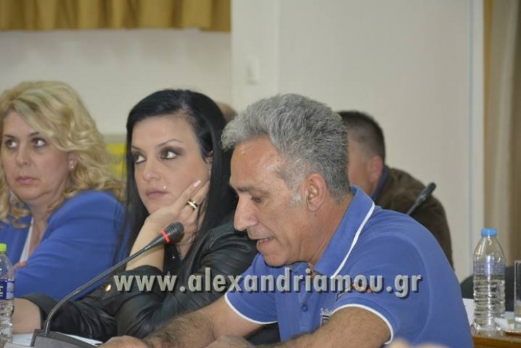 Δημοτικό Συμβούλιο Αλεξάνδρειας:Τι δήλωσε ο Αν. Δντης κ.Περνετζής για το θέμα με το νερό (βίντεο)