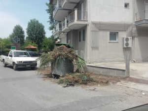 Απαράδεκτη εικόνα σε κάδο σκουπιδών στην οδό Σμύρνης στην Αλεξάνδρεια