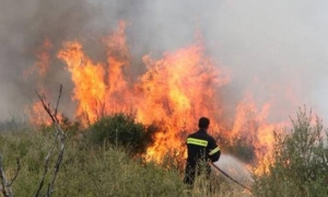 Πυρκαγιά σε δασική περιοχή στην  Παναγιά Δοβρά στη Βέροια -Κινητοποίηση της Πυροσβεστικής