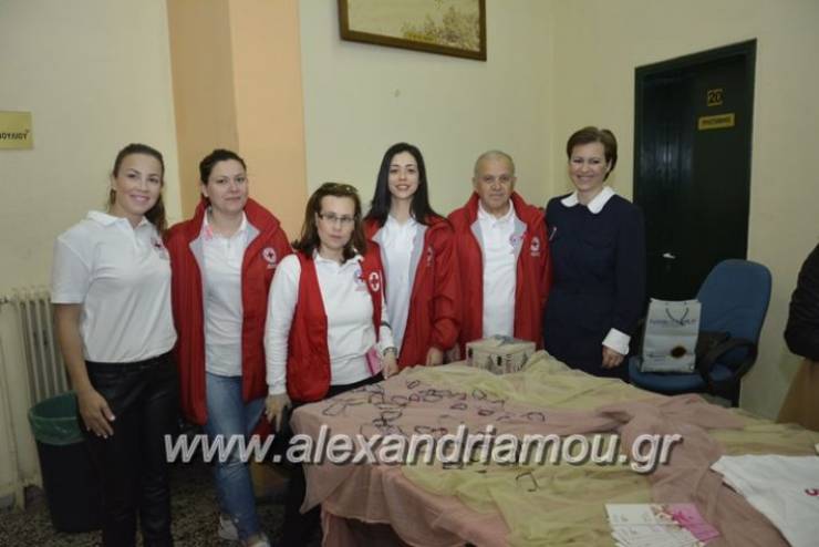 Με επιτυχία πραγματοποιήθηκε η εκπαίδευση υπαλλήλων του αυτοτελούς τμήματος κοινωνικής προστασίας του δήμου Αλεξάνδρειας σε συνεργασία με το Τμήμα του Ερυθρού Σταυρού