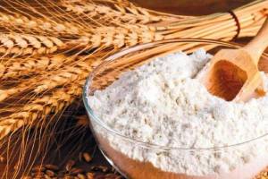 Φόβοι για την προμήθεια και τις τιμές σιταριού στην Ελλάδα – Οι εναλλακτικές λύσεις