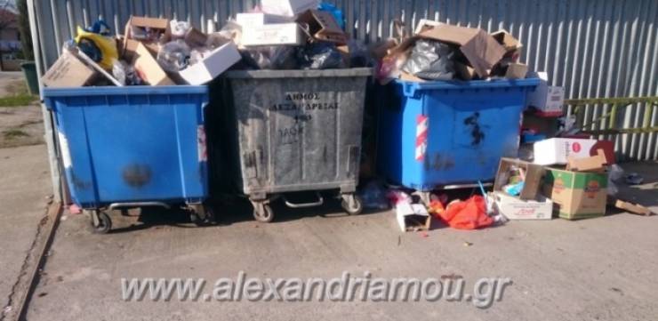 Ξεχειλίζουν οι κάδοι από σκουπίδια στο Καψοχώρι(φώτο)
