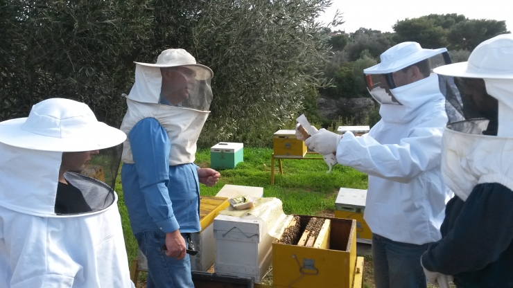 Δωρεάν εκπαίδευση μελισσοκομίας στο Μακροχώρι