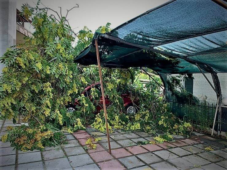 Ενημέρωση από το Δήμο Αλεξάνδρειας για τις Προσπάθειες αποκατάστασης των ζημιών από την χθεσινή βροχόπτωση