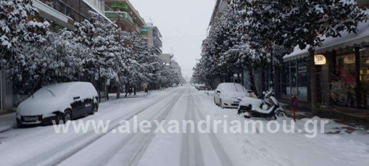 Ημαθία:H χιονισμένη Αλεξάνδρεια παραδωμένη στα ¨μαγικά¨ της Μήδειας(φωτορεπορτάζ και βίντεο)