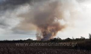 Έντονος καπνός από φωτιά σε άτυπη χωματερή στην αγροτική περιοχή Αλεξάνδρειας απέναντι από το Στρατόπεδο 722
