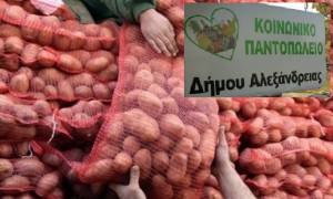 ΔΗΜΟΣ ΑΛΕΞΑΝΔΡΕΙΑΣ:4.500 κιλά πατάτας στους ωφελούμενους του Κοινωνικού Παντοπωλείου