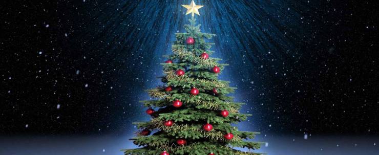 Τα παιδάκια του Ειδικού Σχολείου Αλεξάνδρειας θα στολίσουν το Χριστουγεννιάτικο δέντρο του ΚΑΠΗ